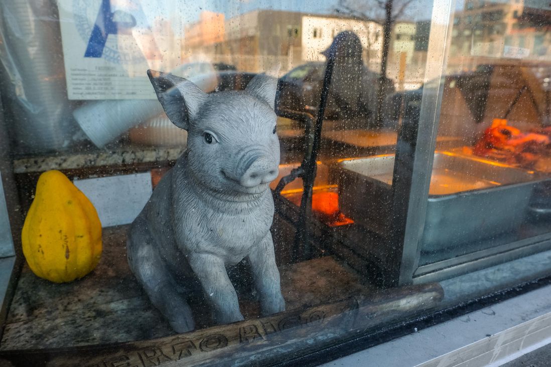 fake pig in the window
